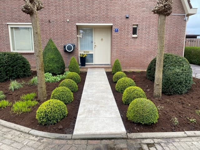 Tuin